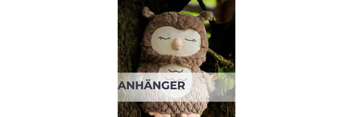 Anhänger