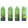 Step by Step Isolierte Edelstahl-Trinkflasche  Dino