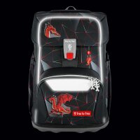 Step by Step GIANT  Dragon Drako rund um Sorglos Paket